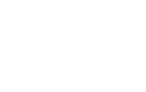 crash@4x